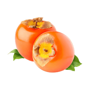 Fresh Persimmon